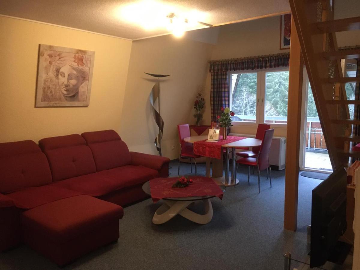 Apartmán Haus Dachsberg Todtmoos Exteriér fotografie