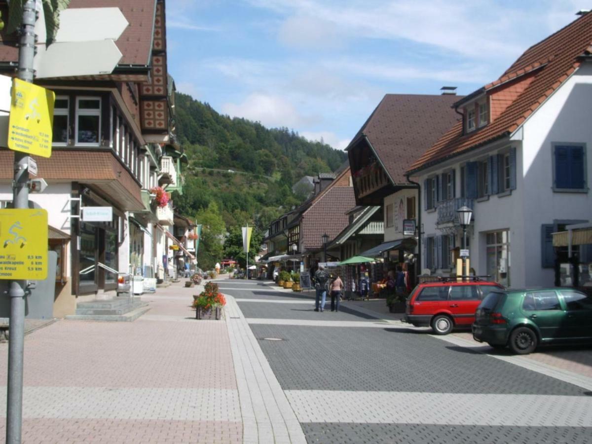Apartmán Haus Dachsberg Todtmoos Exteriér fotografie