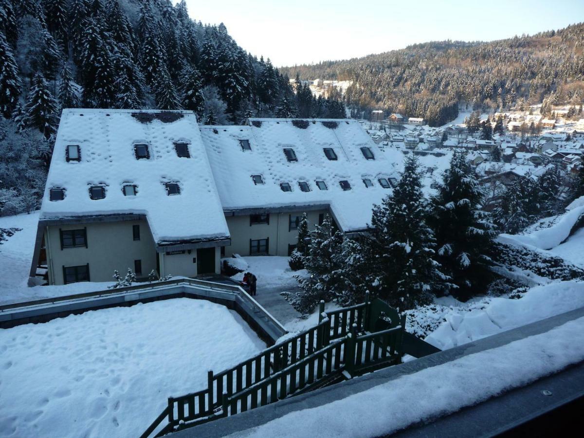 Apartmán Haus Dachsberg Todtmoos Exteriér fotografie